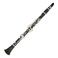 Steinhoff Intermediate Bb Clarinet set up - Comes with 3 year warranty