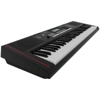 Roland E-X10 Portable Arranger Keyboard w/ Speaker System And BBT Stand