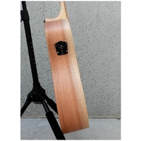 Cole Clark FL1EC-BM Fat Lady 1 Acoustic Guitar - Bunya Top w/ QLD Maple Back