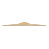 Sabian 11711XEB HHX Extra Thin B20 Brilliant Finish EVO Effeks Crash Cymbal 17in