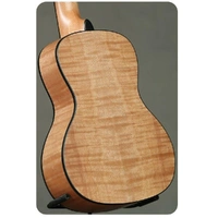 Kala Solid Spruce Top Exotic Mahogany - Concert Ukulele Exotic Mahogany back
