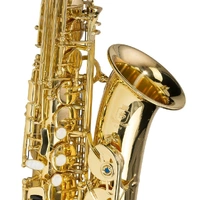 Steinhoff Intermediate Alto Saxophone High F# mechanism Blue steel springs