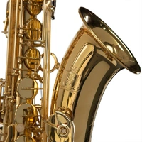 Steinhoff Advanced Student Tenor Saxophone Model TS10-GLD 3 year Warranty