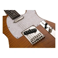 Electric Guitar Enlightened 50  Amber