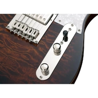 Michael Kelly Electric Guitar Enlightened 55 Tiger's Eye Burst Made in Korea