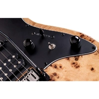 Electric Guitar 1960 Burl Stealth