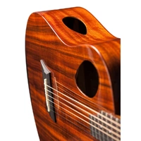 Michael Kelly Acoustic Electric Guitar Forte Koa Junior + Gig Bag