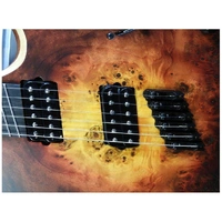 Mayones Duvell Elite VF 6 - 6-String Electric Guitar Ebony Fingerboard Hard Case