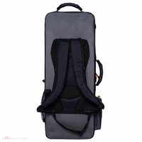 Bam PEAK3022SB - Peak Performance Case for Tenor Saxophone