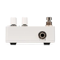 Electro Harmonix PICO CANYON ECHO / Delay Guitar Effects Pedal