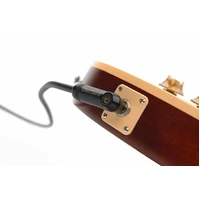Planet Waves American Stage Instrument Cable - 10ft , Straight to Right Angle 