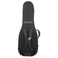 Reunion Blues Expedition Double Electric Guitar Case