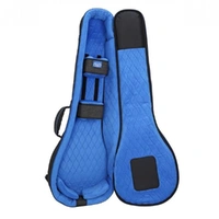 Reunion Blues Continental Voyager Banjo Case