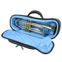 Reunion Blues  Continental Voyager Trumpet Case