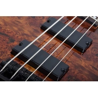 Schecter  C-4 Standard 4 String Electric Bass - Tobacco Burl