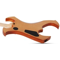 Wylde Audio Berzerker Twisted Halls Electric Guitar