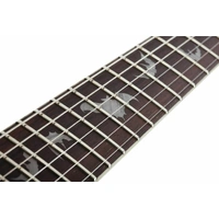 Schecter Damien Platinum 6 FR Electric Guitar - Satin Black Floyd Rose