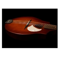 Seagull S8 Acoustic Mandolin Burnt Umber Solid Spruce Top Custom Polished Finish