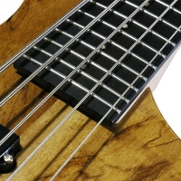 TinyBoy 5-String BP Electric Bass - Natural - TBP-3500NSM