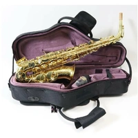 Trevor James SR Series Alto Saxophone Gold Lacquer Protech Case 