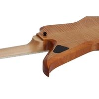 Wylde Audio Blood Eagle - Rawtop - Electric Guitar