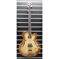 HOFNER ARCHTOP Bass Guitar Spruce Top Maple BACK - SHORT SCALE