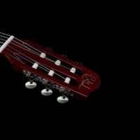 Godin ACS Nylon SA  Guitar Natural SG  with Bag