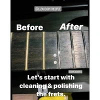 Lizard Spit Fret Polish System MP15