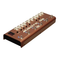 Carl Martin Acoustic GiG Multi-Effects Guitar Pedal