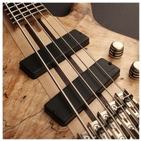 Cort  A5 Plus SCMS OPN 5 string Bass  Open Pore BARTOLINI Pickup's with Case