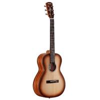 Alvarez Delta Delite E Acoustic Electric Guitar