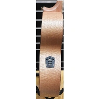 Cole Clark AN2EC-RDSO Angel 2 Acoustic / Electric Guitar 