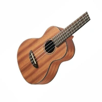 aNueNue MKN2E Makani II Acoustic / Electric Concert Ukulele 