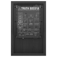 The Behringer High-Resolution Truth B2031A 2-Way Reference Studio Monitor