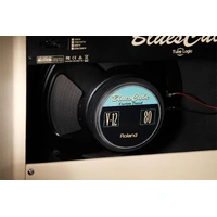 Roland Blues Cube Stage Guitar Amplifier