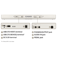 CASIO CTS-1 61 NOTE KEYBOARD Touch Sensitive - White