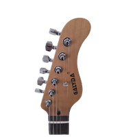 Galyda HH Electric Guitar Walnut Resin Top Tremolo Rosewood Fretboard
