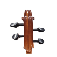 Hora  4/4 Cello Outfit Nitro Varnish All Solid Wood Made in Europe
