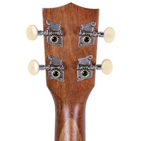 Kala Makala MK-P Pineapple Agathis Ukulele, Natural Finish