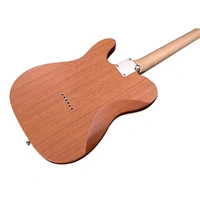 Michael Kelly Electric Guitar Enlightened 55 Tiger's Eye Burst Made in Korea