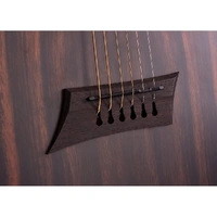 Acoustic Electric Guitar Forte Exotic Java Ebony
