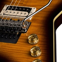 Dean ML 79 F TBZ Floyd Series Flame Top Electric Guitar – Trans Brazilia