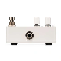 Electro Harmonix PICO CANYON ECHO / Delay Guitar Effects Pedal