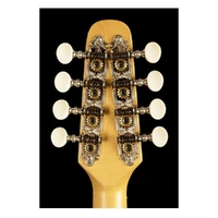 Seagull S8 Acoustic Mandolin Natural Finish Solid Spruce Top Made in Canada