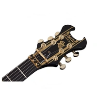 Schecter Synyster Custom-S Floyd Electric Guitar,  - Gloss Black / Gold 