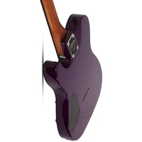 Schecter PT Standard 6 String Electric Guitar - Purple Burst Burl