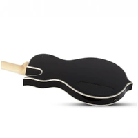 Wylde Audio Odin Grail Blizzard Vintage White  Electric Guitar