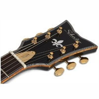 Schecter Coupe Electric Guitar - Gloss Black/Ebony - Tesla FilterTron Pickups