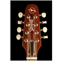 Seagull S8 Acoustic Mandolin Burnt Umber Solid Spruce Top Custom Polished Finish