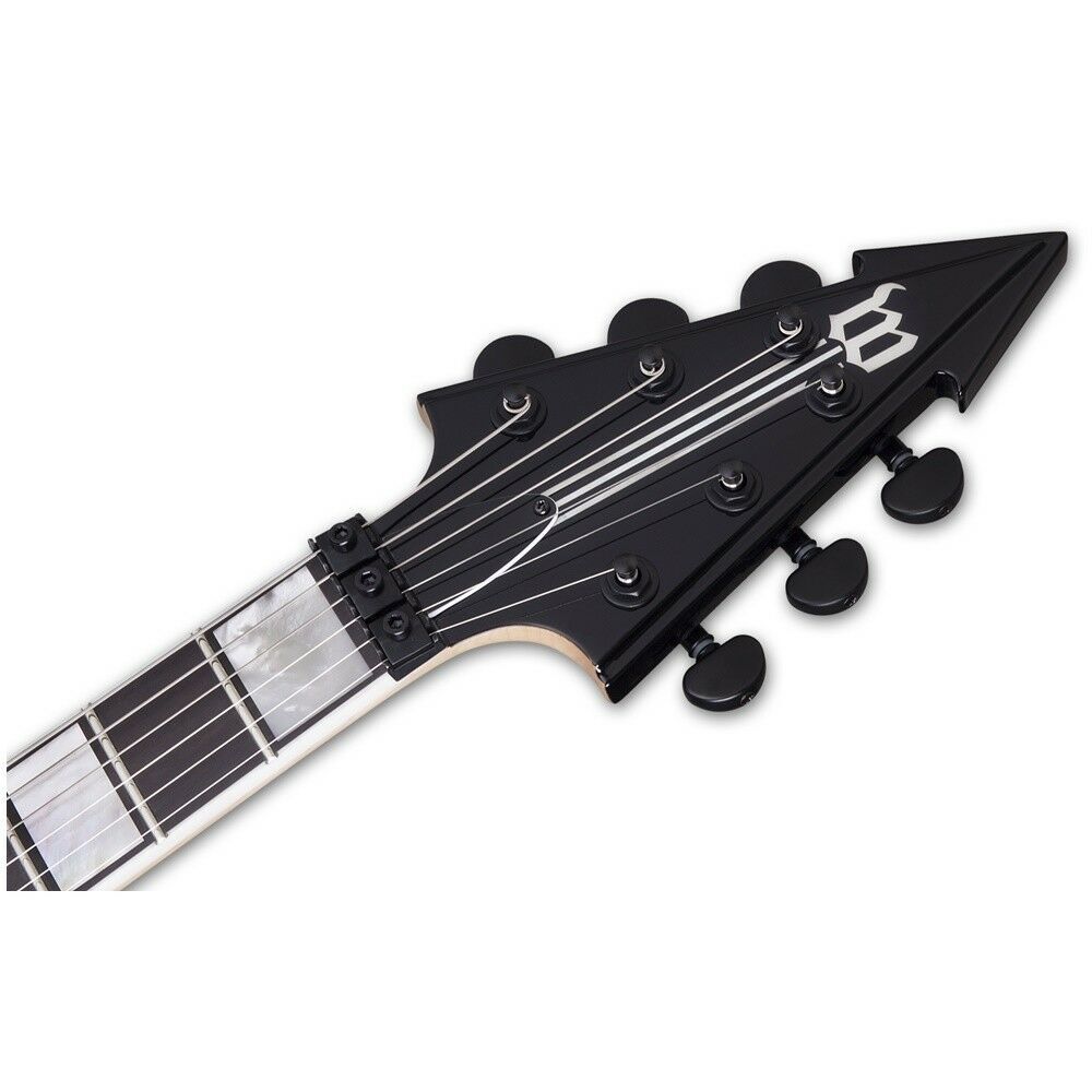 Wylde audio viking with floyd outlet rose electric guitar black pinstripes